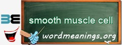 WordMeaning blackboard for smooth muscle cell